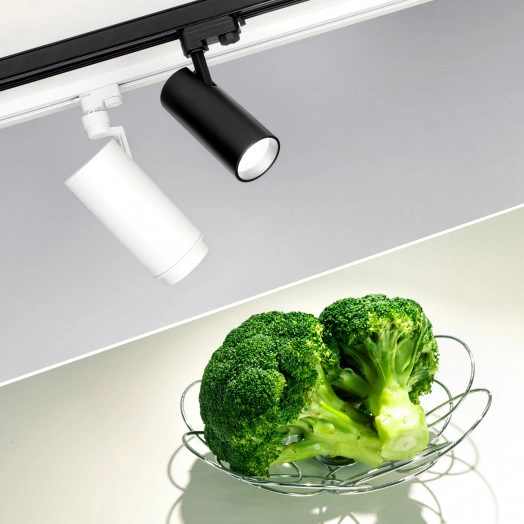 Светильник трековый LGD-ZEUS-4TR-R100-30W Day SP5000-Veg (WH, 20-60 deg, 230V) (ARL, IP20 Металл, 3 года)