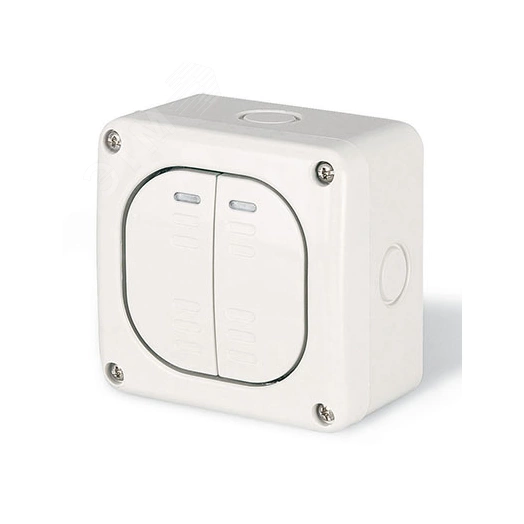 Выключатель однополюсный двухклавишный настенный