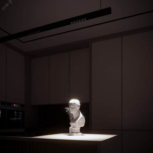 Светильник MAG-DARK-45-L200-6W Day4000 (BK, 20 deg, 24V) (, IP20 Металл, 3 года)