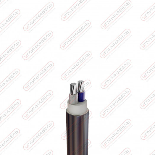 Кабель силовой АВВГнг(А) 2х70 мк(N)-1