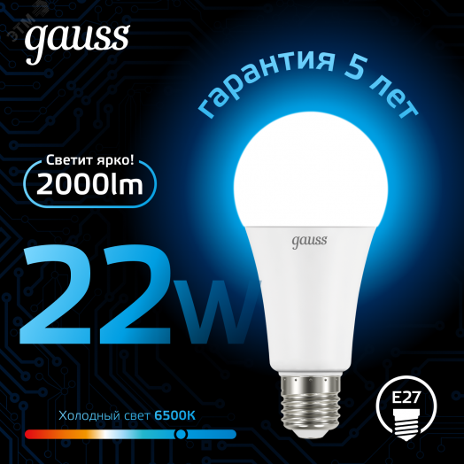 Лампа светодиодная LED 22 Вт 2000 лм 6500К AC150-265В E27 А70 (груша) холодная  Black Gauss