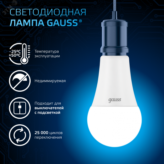 Лампа светодиодная LED 22 Вт 2000 лм 6500К AC150-265В E27 А70 (груша) холодная  Black Gauss