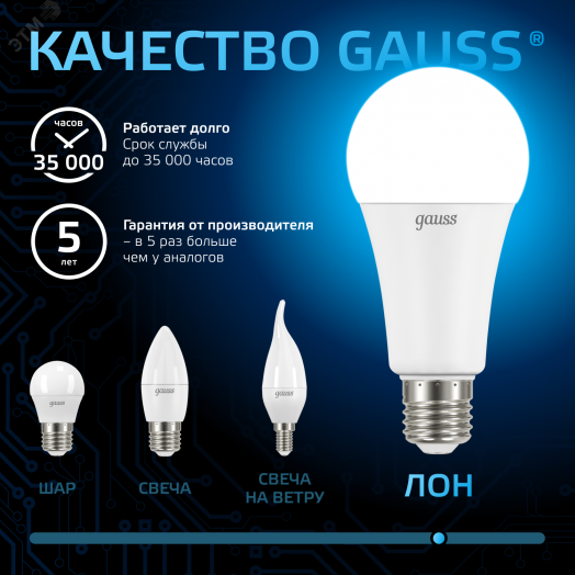 Лампа светодиодная LED 22 Вт 2000 лм 6500К AC150-265В E27 А70 (груша) холодная  Black Gauss