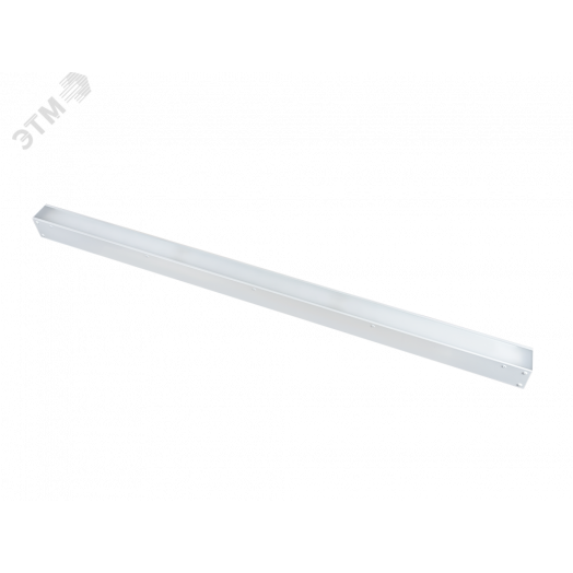 Diora Box SE 40/4900 opal 6K White clip А-1150