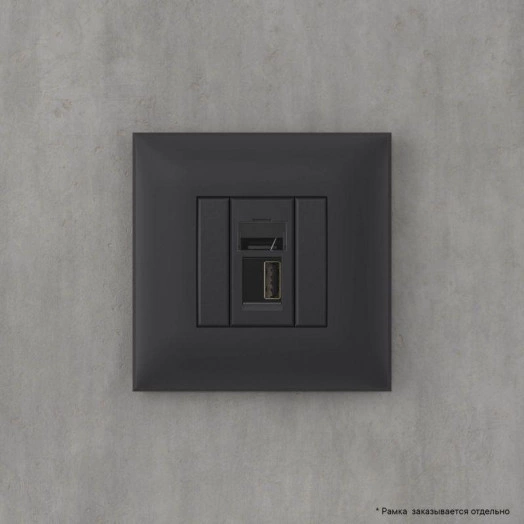 Розетка USB 2.0 1-м СП Avanti "Черный матовый" тип А-А DKC 4412403