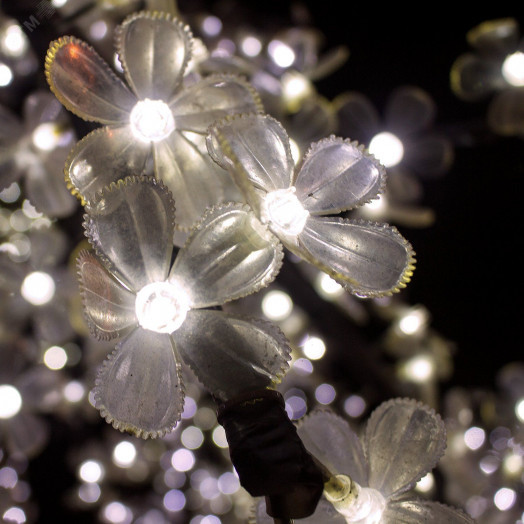 Лампа светодиодная LED 2 Вт 190 лм 3000К DC12В G4 капсула теплая Низковольтная Black Gauss