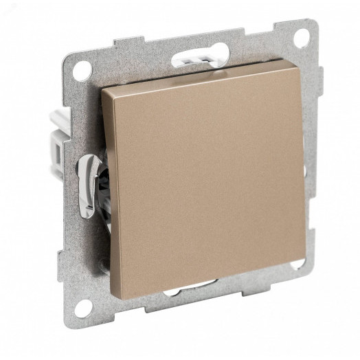 Ugra Выключатель одноклавишный, 2-х полюсный, скрытая установка, 10А, 250В.  шампань