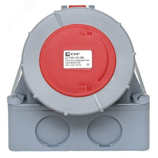 Розетка стационарная наружная 1442 3Р+РЕ 125А 380В IP67 PROxima