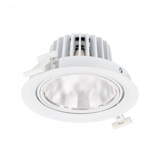 Светильник светодиодный ДВО 25 Вт 2700 лм 3000К 220-230В d190х102мм монт. d170мм IP20 поворотный средний пучок GreenSpace Accent cardanic PHILIPS