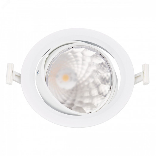 Светильник светодиодный ДВО 25 Вт 2700 лм 3000К 220-230В d190х102мм монт. d170мм IP20 поворотный средний пучок GreenSpace Accent cardanic PHILIPS