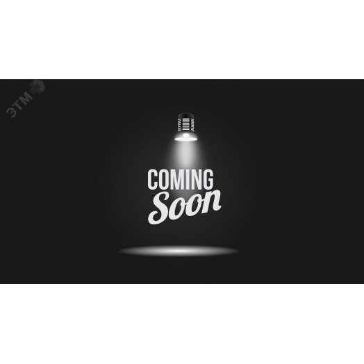 Выключатель автоматический ВА47-63 2P 16А кривая D 4,5кА PRO VA63-2P16D4.5 ЭРА