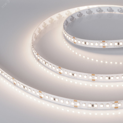 Лента LED RT-A168-10mm 24V Day4000 CRI98 (17 W/m,2835, 5m) (, Открытый)