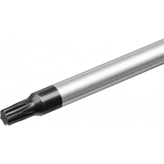 Отвертка Профессионал TX25x100