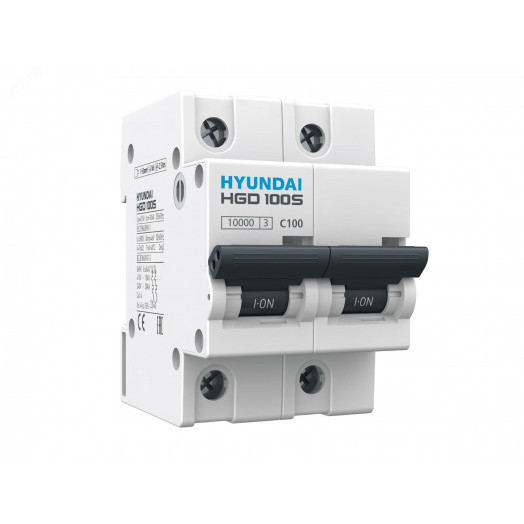 Выключатель автоматический модульный двухполюсный 80А C 10кА Standard HGD
