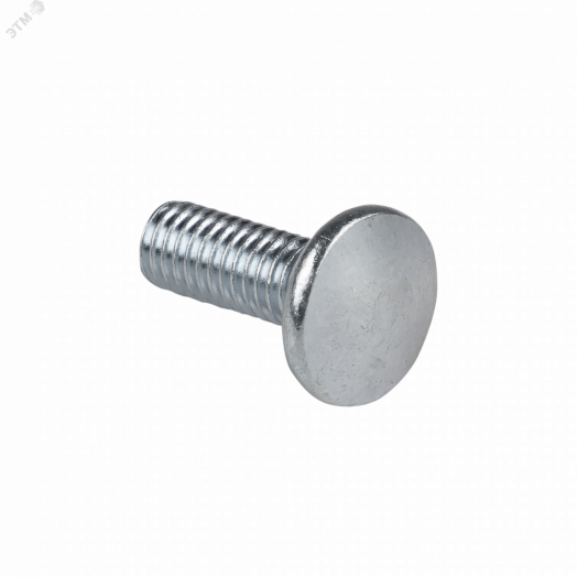 Винт с квадратным подголовником М6х10 TDZ (200 шт)