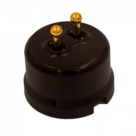 Выключатель Лизетта 2-кл., пластик, цвет Коричневый,  Золото (тумблерный)