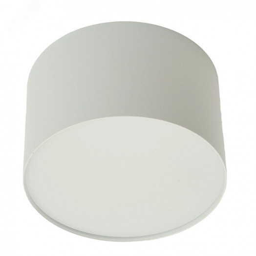 Светильник светодиодный трековый на шинопровод ДПО-12w 4000К 960Лм белый