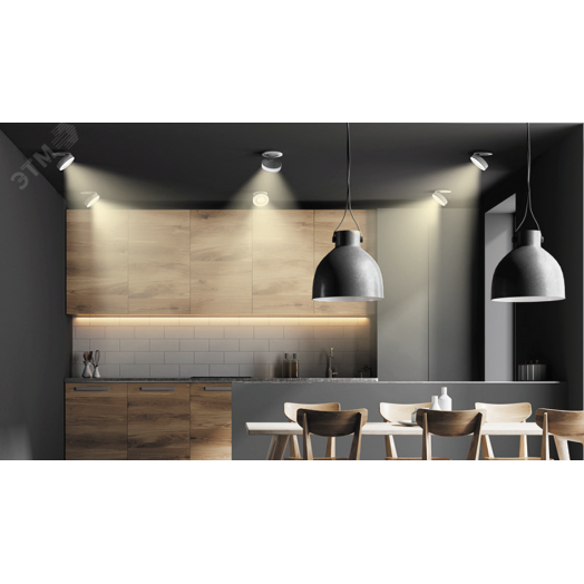 Светильник светодиодный ДВО-DL-Axel Opal 12Вт 3000K 120гр. черный