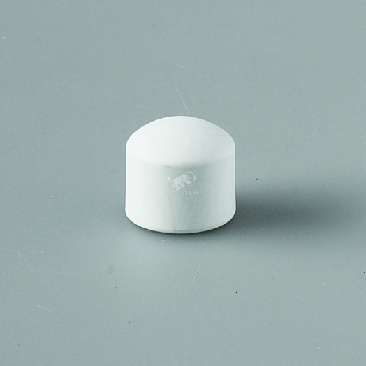Заглушка 25 полипропиленовая PPR белая