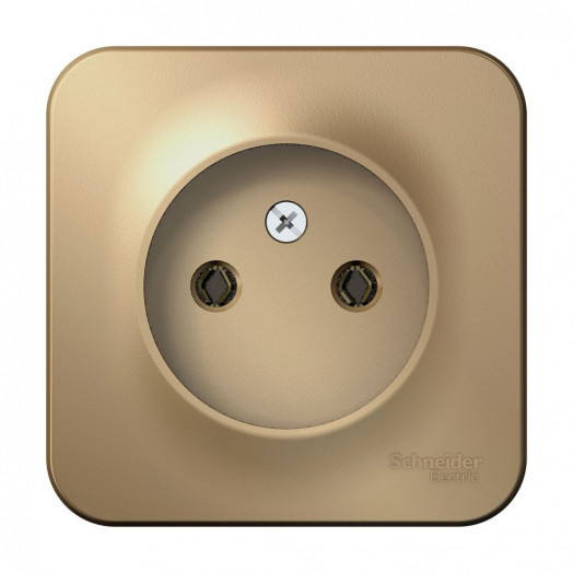 BLANCA  розетка наружная  без заземления без шторок, 16А, 250В, титан