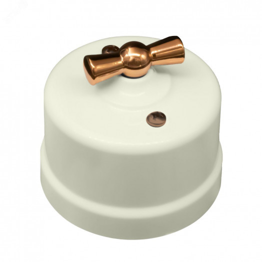 Выключатель Лизетта 1-кл., пластик, цвет Слоновая кость, Медь