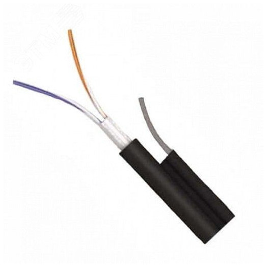 Витая пара FTP 2 пары AWG 24 категория 5е экран внешняя Cu Premium с тросом