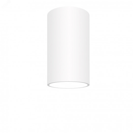 Светильник накладной, ARTON, цилиндр, 55х55х100мм, GU10, алюминий, белый, 59950 0, Ritter
