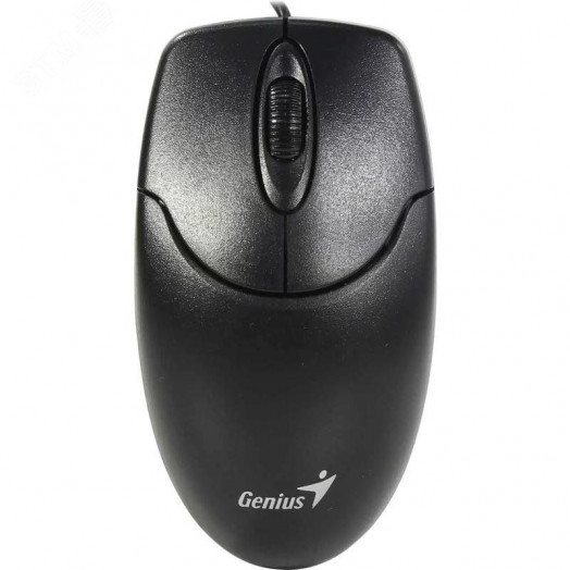 Мышь NetScroll 120 V2 оптическая, USB, черный