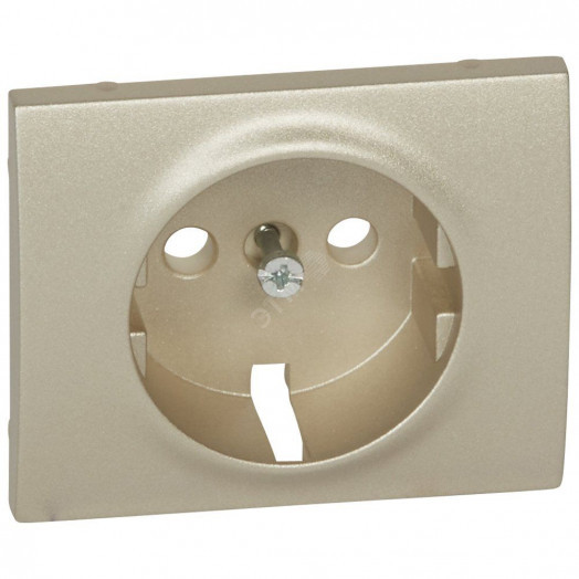 Панель лицевая для розетки 2К+З - Titanium