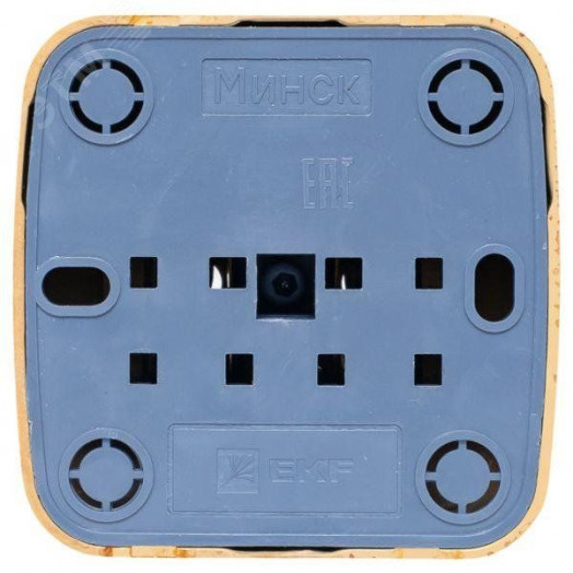 Розетка 1-местная ОП Минск 10А без заземления светлое дерево