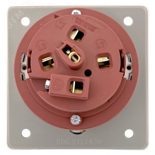 Розетка стационарная внутренняя угловая 4342 3Р+РЕ 63А 380В IP67 PROxima
