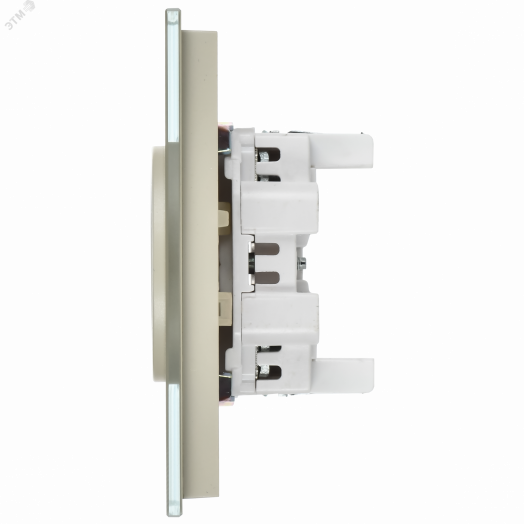 SKANDY Розетка 2-местная без заземления без защитных шторок для плоской вилки 10А SK-R03B стекло бежевый