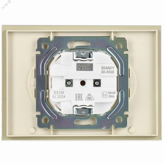 SKANDY Розетка 2-местная без заземления без защитных шторок для плоской вилки 10А SK-R03B стекло бежевый