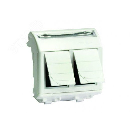 Розетка компьютерная двойная RJ45 категория 6 экран Brava слоновая кость 2 модуля