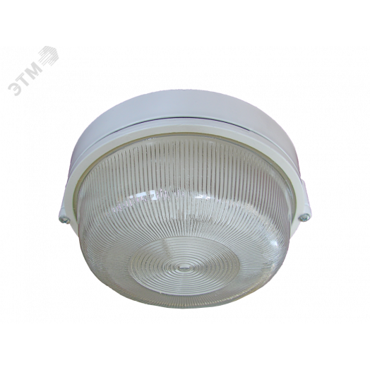 Светильник общепромышленный ля работы в сети постоянного тока с номинальным напряжением 110В Луч 60 IP65 60Вт Лампа накаливания