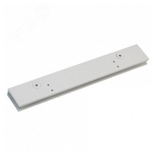 Пластина для установки TS97 на цельностеклянную дверь, белый RAL9016