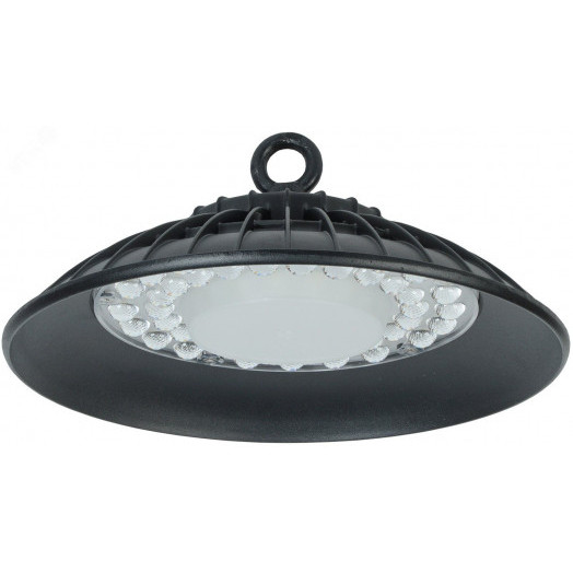 Светильник ДСП 3004 PRO 100Вт 60гр 6500К IP65 алюминий IEK