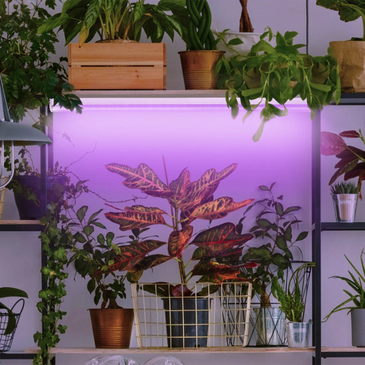 Фитолампа для растений светодиодная FITO-18W-RB-Т8-G13-NL и мясных прилавков 18 Вт Т8 G13 красно-синего спектра