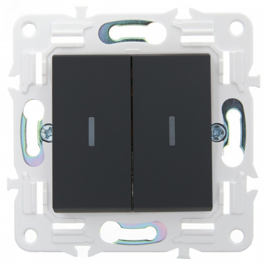 SKANDY Выключатель 2-клавишный 10А SK-V04G графит IEK