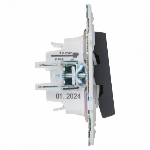 SKANDY Выключатель 2-клавишный 10А SK-V04G графит IEK