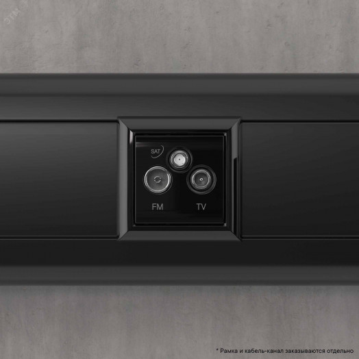 Avanti TV-FM-SAT ''Черный квадрат'', 16A, 2 модульный