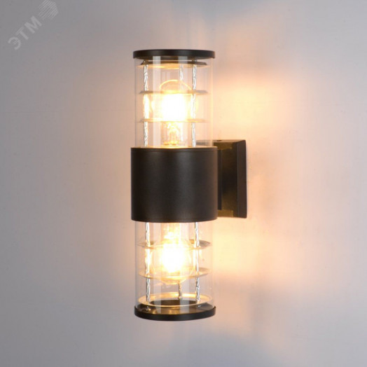 Светильник уличный настенный Arte Lamp TOKYO A5315AL-2BK 2*E27 Металл Прозрачный