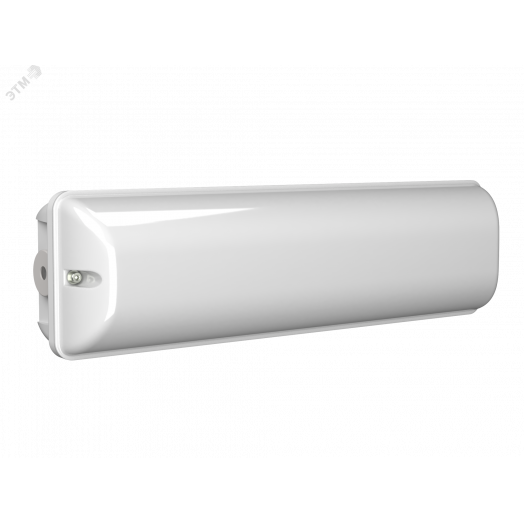 Аварийный светильник BS-METEOR-10-L2-ELON