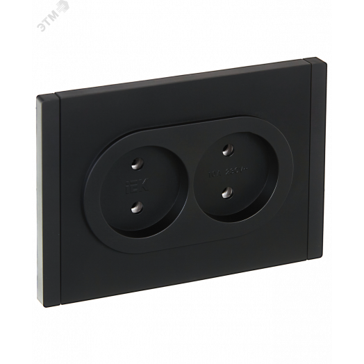 FORTE&PIANO Розетка 2-местная без заземления без защитных шторок безвинтовое крепление 10А FP126 черный IEK