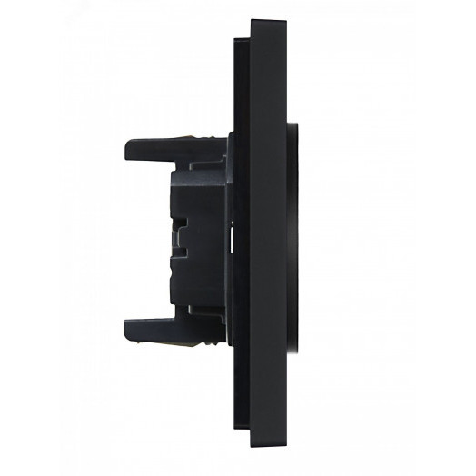 FORTE&PIANO Розетка 2-местная без заземления без защитных шторок безвинтовое крепление 10А FP126 черный IEK