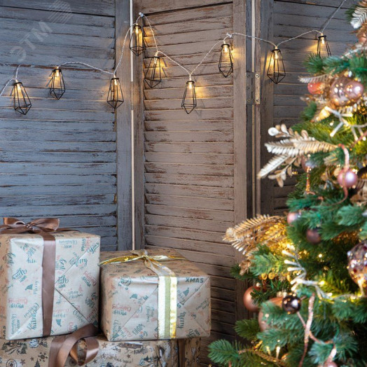 Гирлянда светодиодная кристаллы черные 10 LED, 1,5 м, прозрачный ПВХ, тёплый свечение, 2 х АА (батарейки не в комплекте)