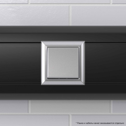 Avanti Переключатель одноклавишный модульный Закаленная сталь 2модуля