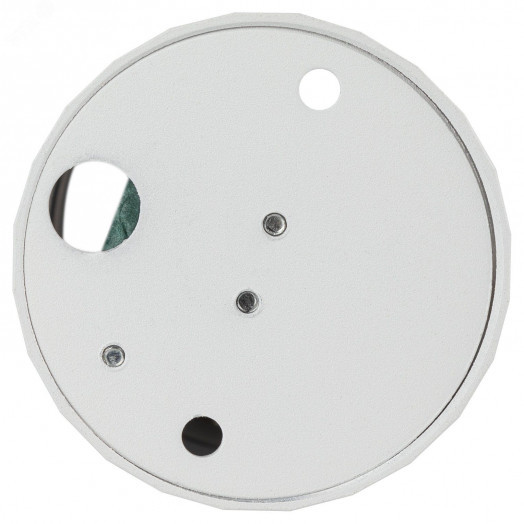 Светильник настенно-потолочный спот OL31 WH MR16 GU10 IP20 белый