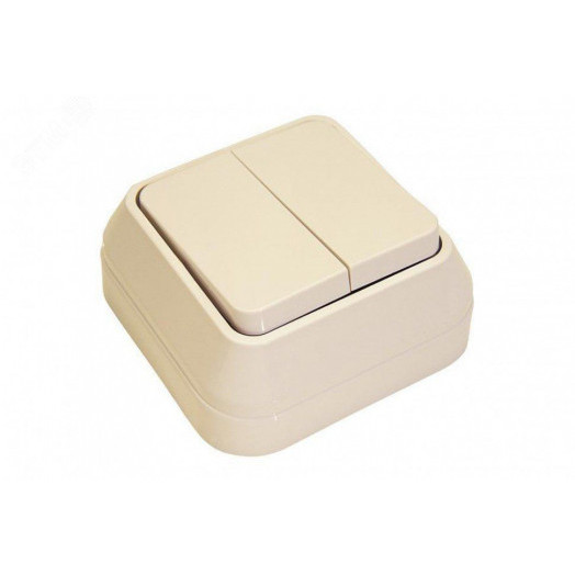Выключатель двухклавишный наружный бежевый