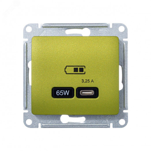 GLOSSA USB РОЗЕТКА тип-C 65W высокоскор.заряд. QC, PD, механизм, ФИСТАШКОВЫЙ